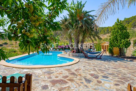 Finca i Relleu, Alicante, Relleu - € 925 000 | Ref: W-04ALNT - foto 37