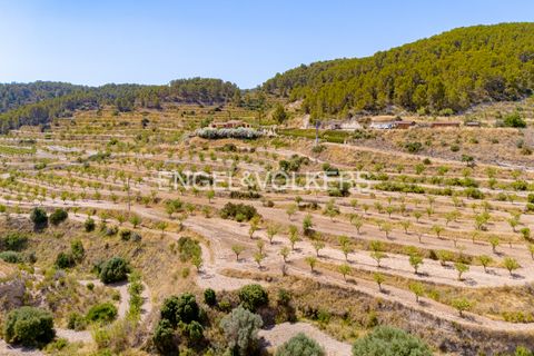 Finca i Relleu, Alicante, Relleu - € 925 000 | Ref: W-04ALNT - foto 45