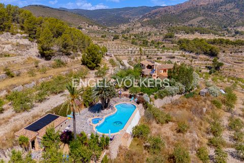 Finca i Relleu, Alicante, Relleu - € 925 000 | Ref: W-04ALNT - foto 44