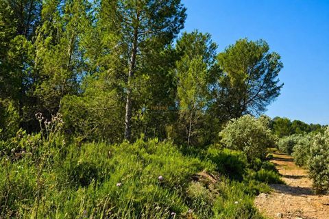 Helårsgrund i Bellus, Valencia, Bellus - € 21.000 | Ref: PNPT278 - foto 12