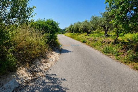 Helårsgrund i Bellus, Valencia, Bellus - € 21.000 | Ref: PNPT278 - foto 20