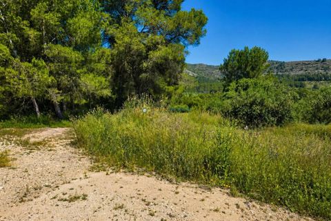 Helårsgrund i Bellus, Valencia, Bellus - € 21.000 | Ref: PNPT278 - foto 15