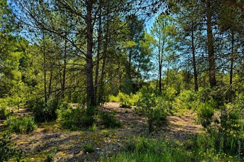 Helårsgrund i Bellus, Valencia, Bellus - € 21.000 | Ref: PNPT278 - foto 6