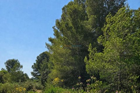 Helårsgrund i Bellus, Valencia, Bellus - € 21.000 | Ref: PNPT278 - foto 10