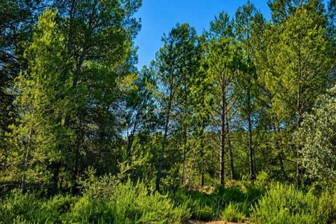 Helårsgrund i Bellus, Valencia, Bellus - € 21.000 | Ref: PNPT278 - foto 11
