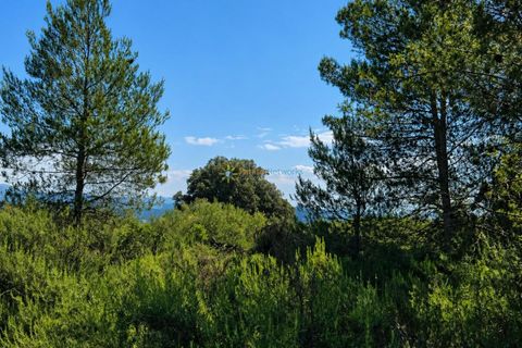 Helårsgrund i Bellus, Valencia, Bellus - € 21.000 | Ref: PNPT278 - foto 8