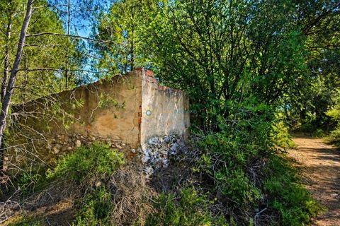 Helårsgrund i Bellus, Valencia, Bellus - € 21.000 | Ref: PNPT278 - foto 3