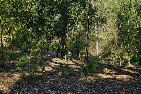 Helårsgrund i Bellus, Valencia, Bellus - € 21.000 | Ref: PNPT278 - foto 7