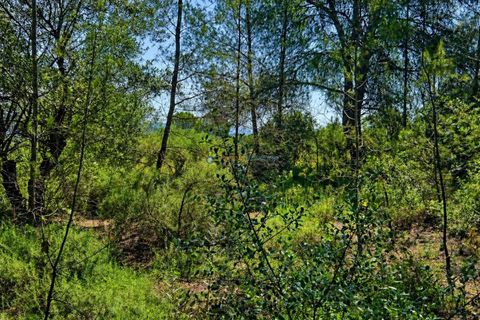 Helårsgrund i Bellus, Valencia, Bellus - € 21.000 | Ref: PNPT278 - foto 9