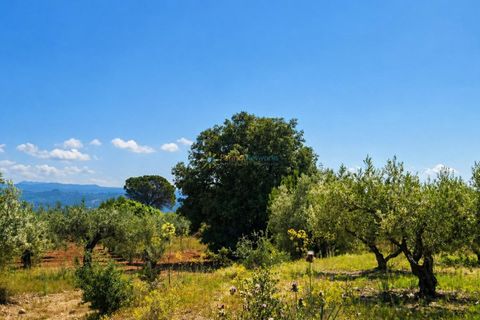 Helårsgrund i Bellus, Valencia, Bellus - € 21.000 | Ref: PNPT278 - foto 13