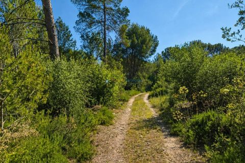 Helårsgrund i Bellus, Valencia, Bellus - € 21.000 | Ref: PNPT278 - foto 18