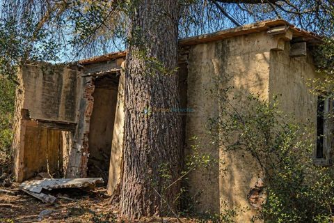 Helårsgrund i Bellus, Valencia, Bellus - € 21.000 | Ref: PNPT278 - foto 1