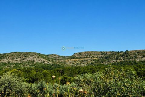 Helårsgrund i Bellus, Valencia, Bellus - € 21.000 | Ref: PNPT278 - foto 14