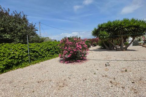 Landejendom i Benejuzar, Alicante, Benejuzar - € 410.000 | Ref: WVV5371 - foto 11