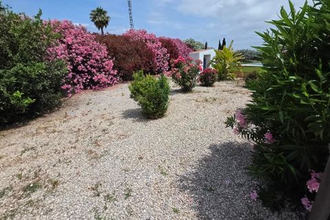 Landejendom i Benejuzar, Alicante, Benejuzar - € 410.000 | Ref: WVV5371 - foto 12