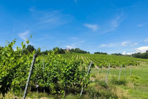 Gårdshus i Certaldo, Florence, Certaldo - € 980 000 | Ref: a9756ta2581167a - foto 21