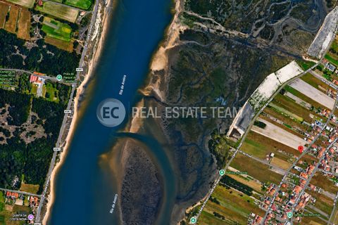 Tomt i Gafanha do Carmo, Aveiro, Gafanha do Carmo - € 175 000 | Ref: EC01-178 - foto 3