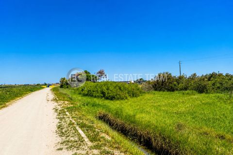 Tomt i Gafanha do Carmo, Aveiro, Gafanha do Carmo - € 175 000 | Ref: EC01-178 - foto 4