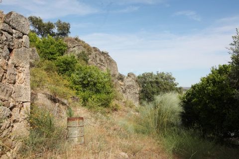 Grond in Ladoeiro, Castelo Branco, Ladoeiro - € 89.000 | Ref: LA99482NN - foto 13