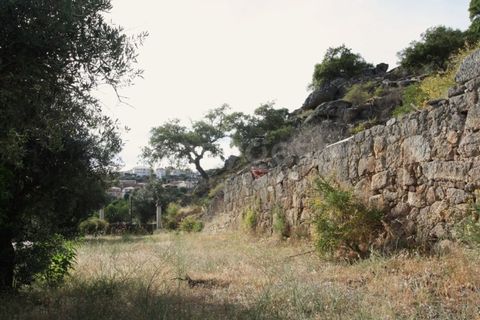 Grond in Ladoeiro, Castelo Branco, Ladoeiro - € 89.000 | Ref: LA99482NN - foto 14