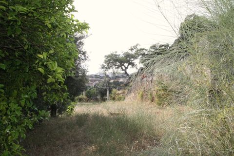 Grond in Ladoeiro, Castelo Branco, Ladoeiro - € 89.000 | Ref: LA99482NN - foto 16