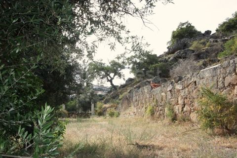 Grond in Ladoeiro, Castelo Branco, Ladoeiro - € 89.000 | Ref: LA99482NN - foto 17