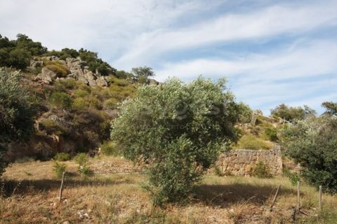 Grond in Ladoeiro, Castelo Branco, Ladoeiro - € 89.000 | Ref: LA99482NN - foto 18