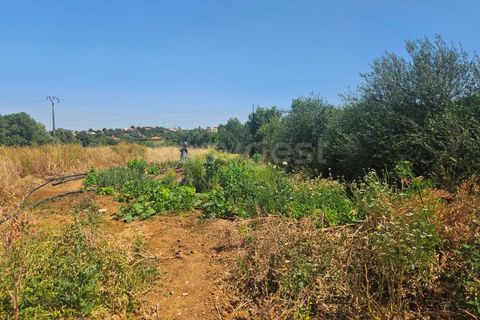 Villa i Algoz, Faro, Algoz - € 600.000 | Ref: AL99553LP - foto 8