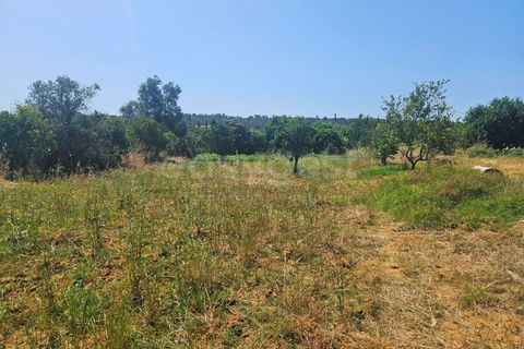 Villa i Algoz, Faro, Algoz - € 600.000 | Ref: AL99553LP - foto 9