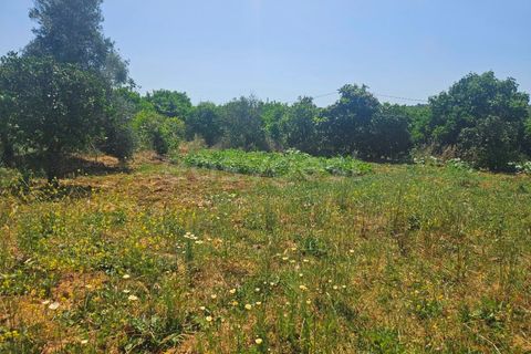 Villa i Algoz, Faro, Algoz - € 600.000 | Ref: AL99553LP - foto 10