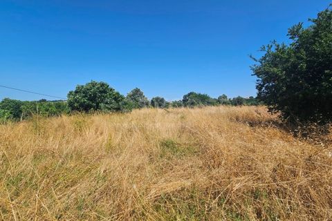 Villa i Algoz, Faro, Algoz - € 600.000 | Ref: AL99553LP - foto 12