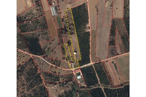 Villa i Algoz, Faro, Algoz - € 600.000 | Ref: AL99553LP - foto 16