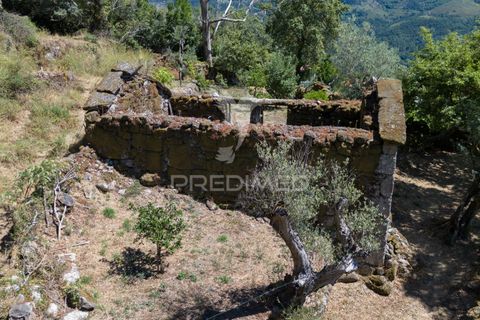Ruin i Terras de Bouro, Braga, Terras de Bouro - € 48 000 | Ref: 054170 - foto 5