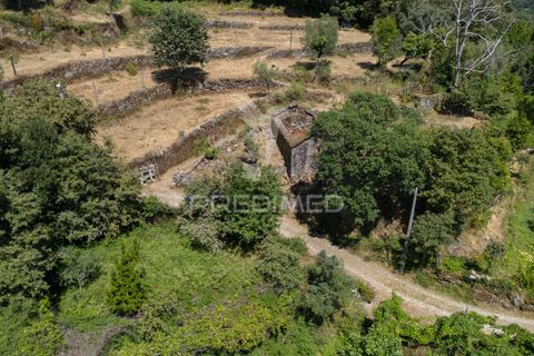 Ruin i Terras de Bouro, Braga, Terras de Bouro - € 48 000 | Ref: 054170 - foto 10
