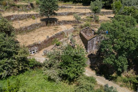 Ruin i Terras de Bouro, Braga, Terras de Bouro - € 48 000 | Ref: 054170 - foto 11