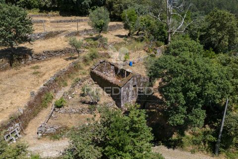 Ruin i Terras de Bouro, Braga, Terras de Bouro - € 48 000 | Ref: 054170 - foto 12