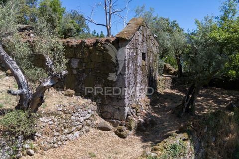 Ruin i Terras de Bouro, Braga, Terras de Bouro - € 48 000 | Ref: 054170 - foto 18
