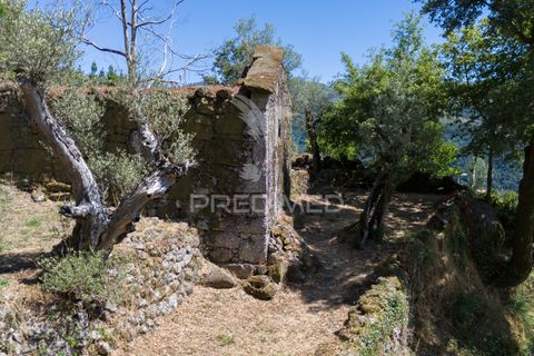Ruin i Terras de Bouro, Braga, Terras de Bouro - € 48 000 | Ref: 054170 - foto 19