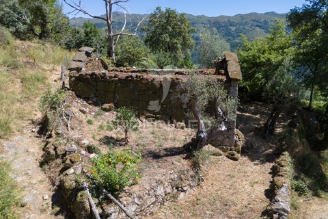 Ruin i Terras de Bouro, Braga, Terras de Bouro - € 48 000 | Ref: 054170 - foto 23