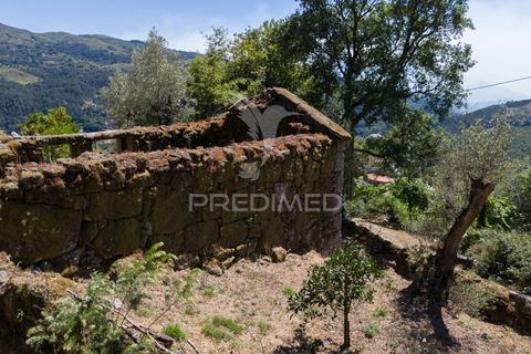 Ruin i Terras de Bouro, Braga, Terras de Bouro - € 48 000 | Ref: 054170 - foto 24