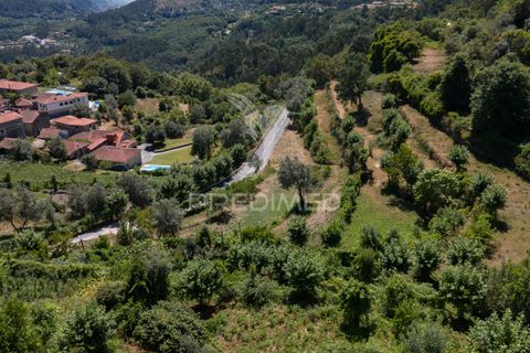Ruin i Terras de Bouro, Braga, Terras de Bouro - € 48 000 | Ref: 054170 - foto 26