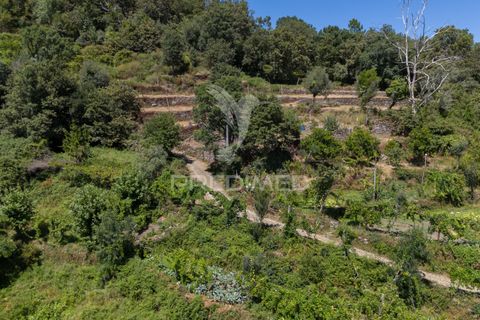 Ruin i Terras de Bouro, Braga, Terras de Bouro - € 48 000 | Ref: 054170 - foto 29