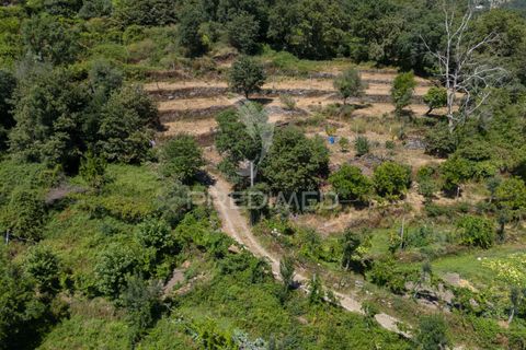 Ruin i Terras de Bouro, Braga, Terras de Bouro - € 48 000 | Ref: 054170 - foto 30