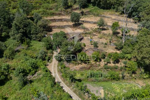 Ruin i Terras de Bouro, Braga, Terras de Bouro - € 48 000 | Ref: 054170 - foto 31