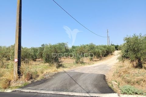 Helårsgrund i Campo Maior, Portalegre, Campo Maior - € 33.800 | Ref: 061643 - foto 1