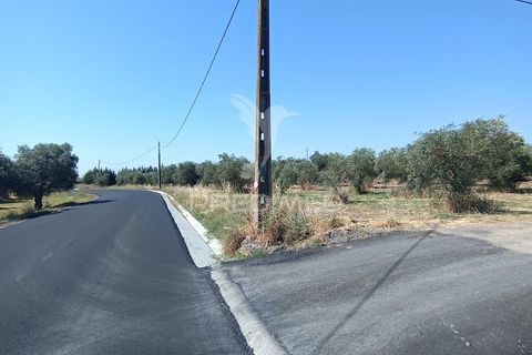 Helårsgrund i Campo Maior, Portalegre, Campo Maior - € 33.800 | Ref: 061643 - foto 3