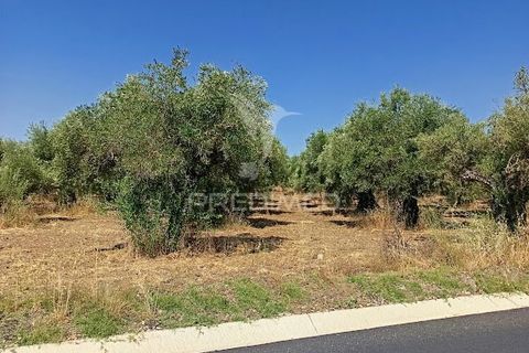 Helårsgrund i Campo Maior, Portalegre, Campo Maior - € 33.800 | Ref: 061643 - foto 6