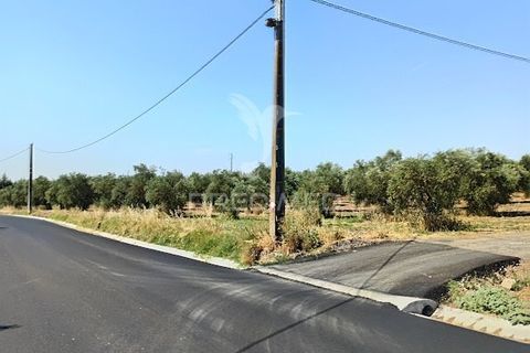 Helårsgrund i Campo Maior, Portalegre, Campo Maior - € 33.800 | Ref: 061643 - foto 7