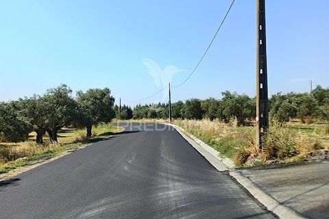 Helårsgrund i Campo Maior, Portalegre, Campo Maior - € 33.800 | Ref: 061643 - foto 9