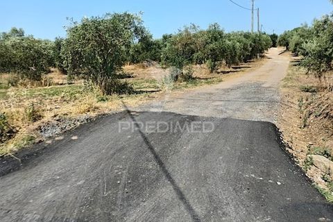 Helårsgrund i Campo Maior, Portalegre, Campo Maior - € 33.800 | Ref: 061643 - foto 11